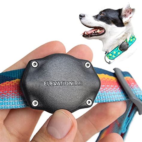 best dog collars on amazon|best dog collars for walking.